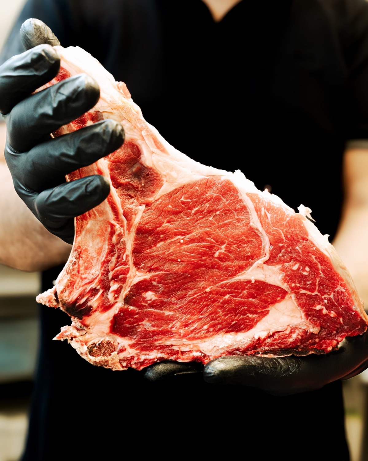 Bistecca con osso cruda in mano guantata — selezione carne Domas Torvaianica