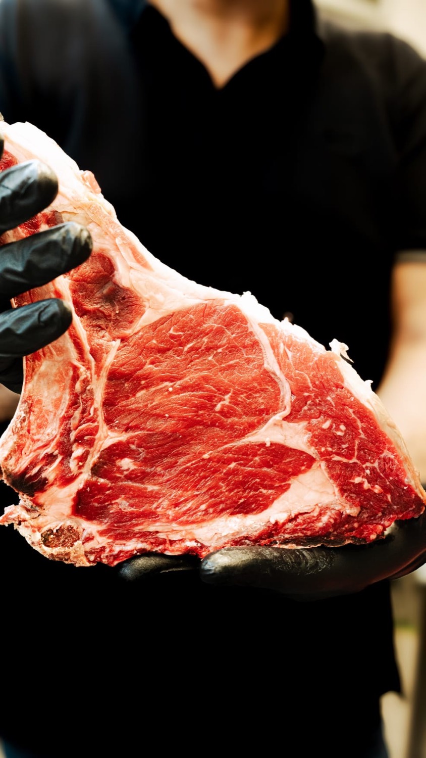 Costata bone-in cruda in mano guantata, sfondo nero — Domas selezione carne